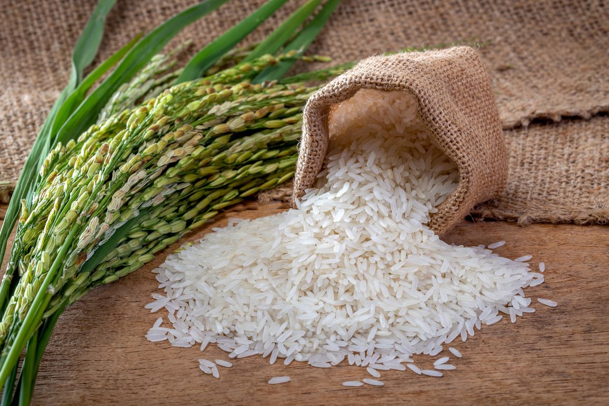 Sac de riz renversé avec des épis de riz sur une table